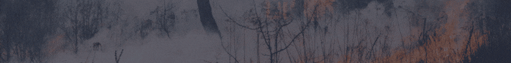 BANNER - QUEIMADAS